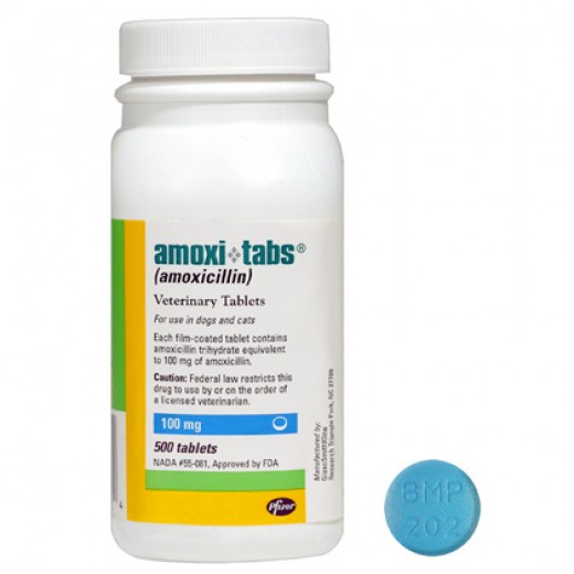 Side effects of Amoxicillin in dogs