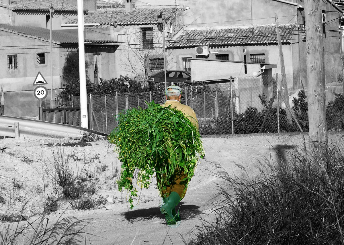 Creating Color Accents with Free Photo Programs or Black