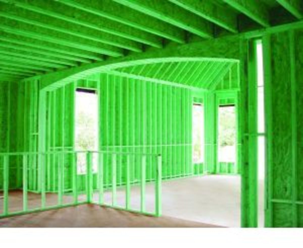 Borax on Wooden Joists for Mold Treatment Dengarden