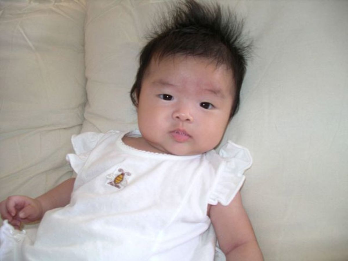 The Truth About Labial Adhesions HubPages