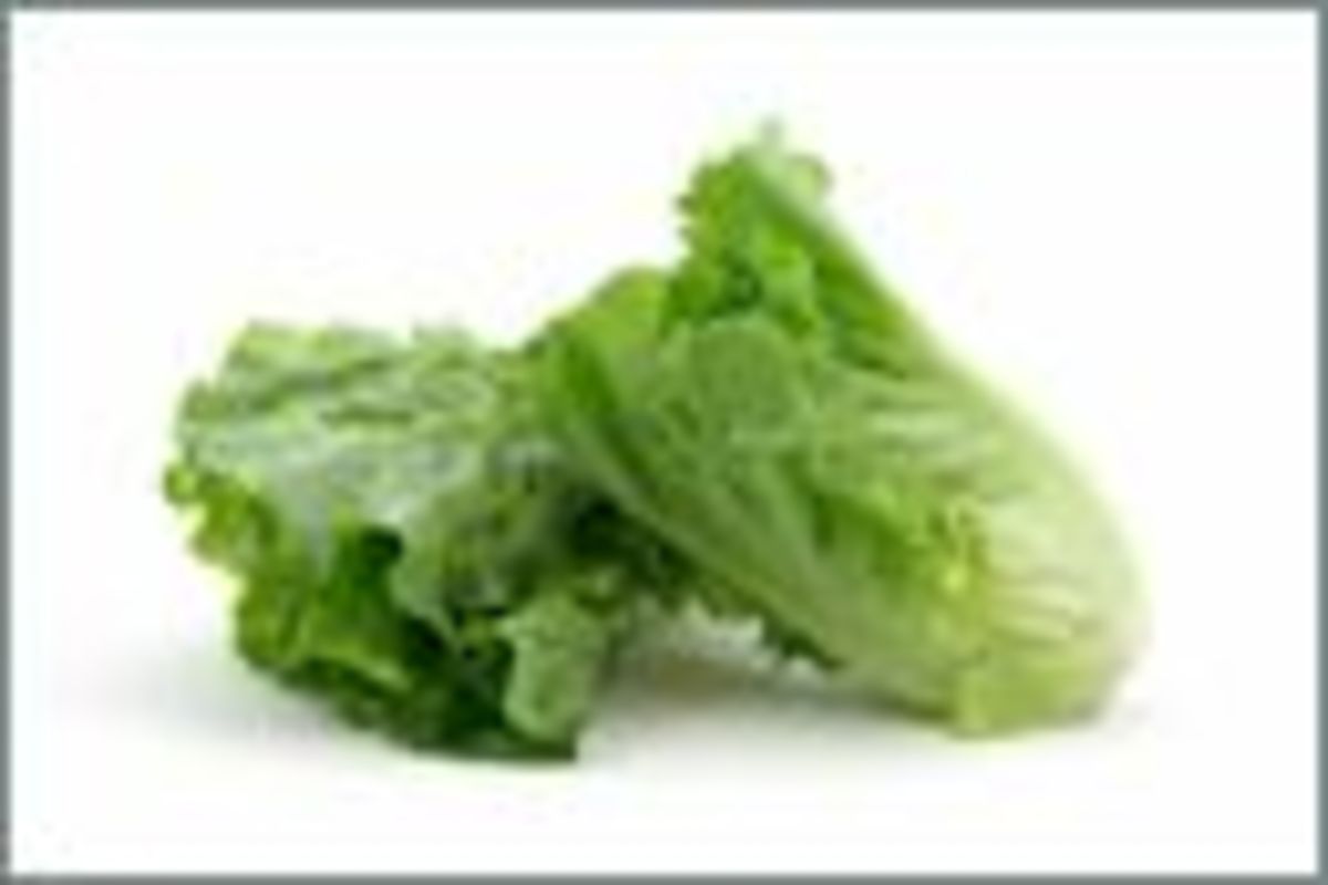 Make Lettuce Tea for Insomnia