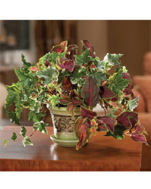 Silk Plants Why Buy Artificial Plants Online? hubpages