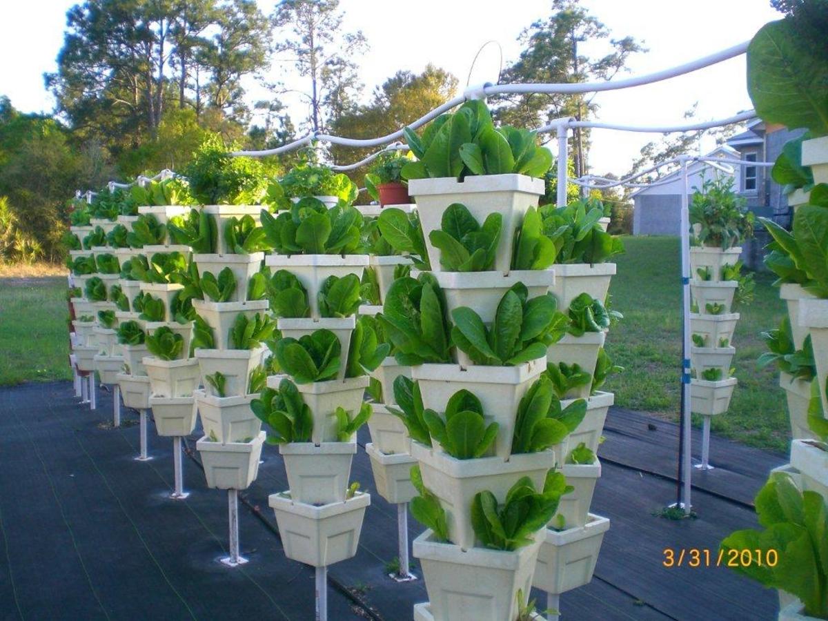 Visit Kevin Newell's Hydroponic Organic Vegetable Farm