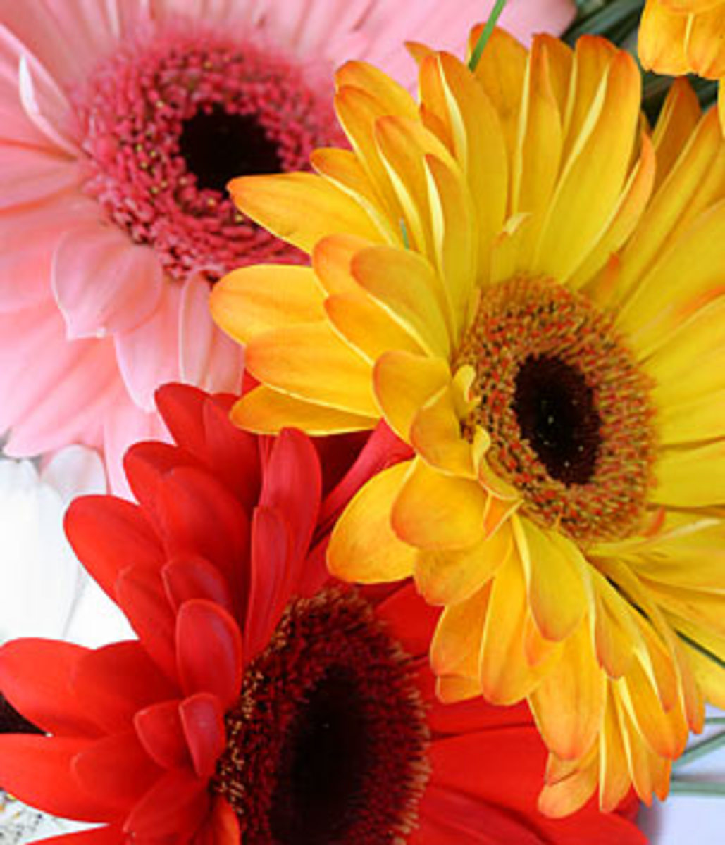 How to Choose Your Wedding Bouquet Red Roses to Silk Posies Choose