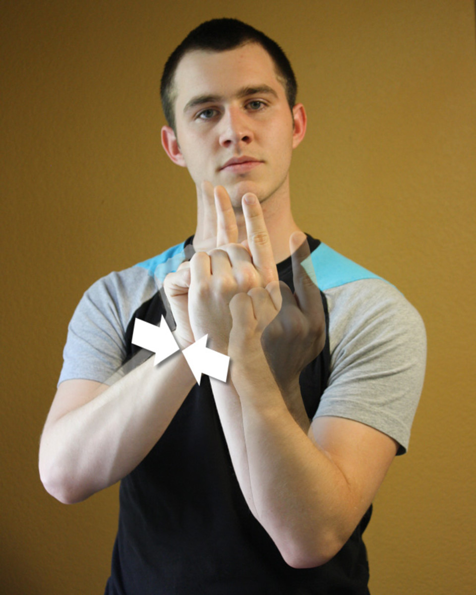 American Sign LanguageASL Beginning and Basic Words 1 Owlcation