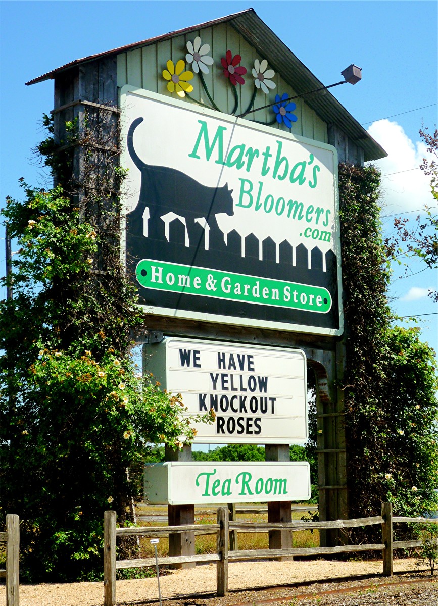 Pictures of Martha's Bloomers in Navasota, Tx Shops, Pots, Plants and
