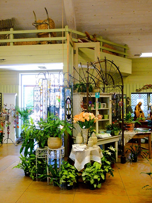 Pictures of Martha's Bloomers in Navasota, Tx Shops, Pots, Plants and