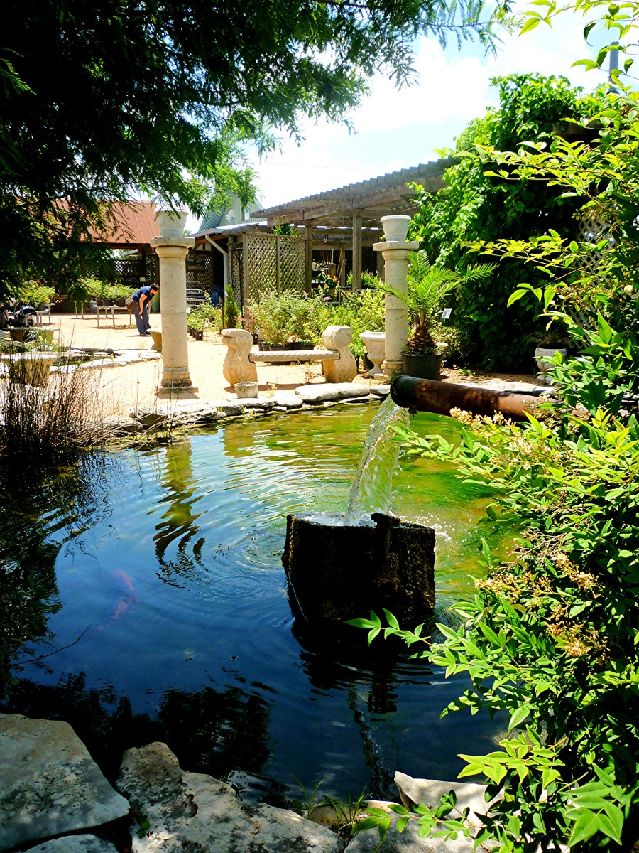 Martha's Bloomers in Navasota, Tx See Photos of Shops, Pots, Plants