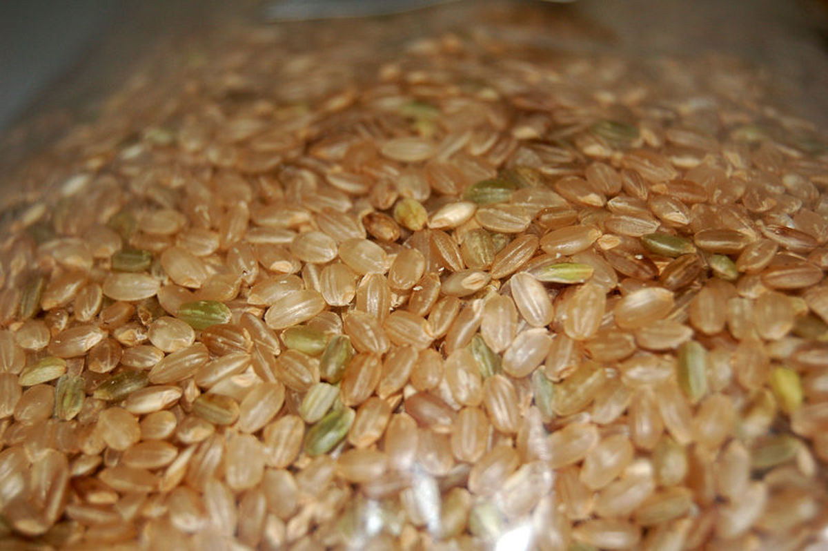 Brown Rice, GBR or GABA Rice and its Health Benefits HubPages