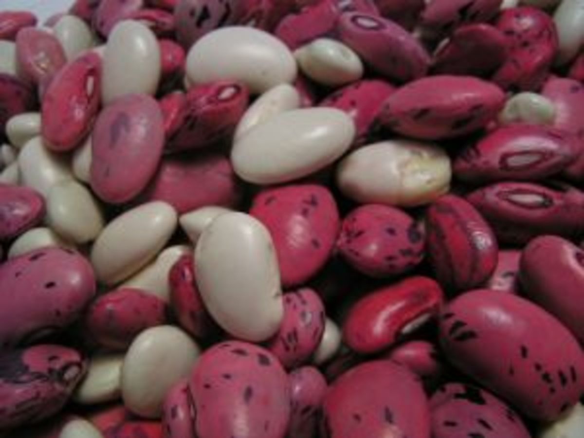 How to Cook Beans With Less Gas HubPages