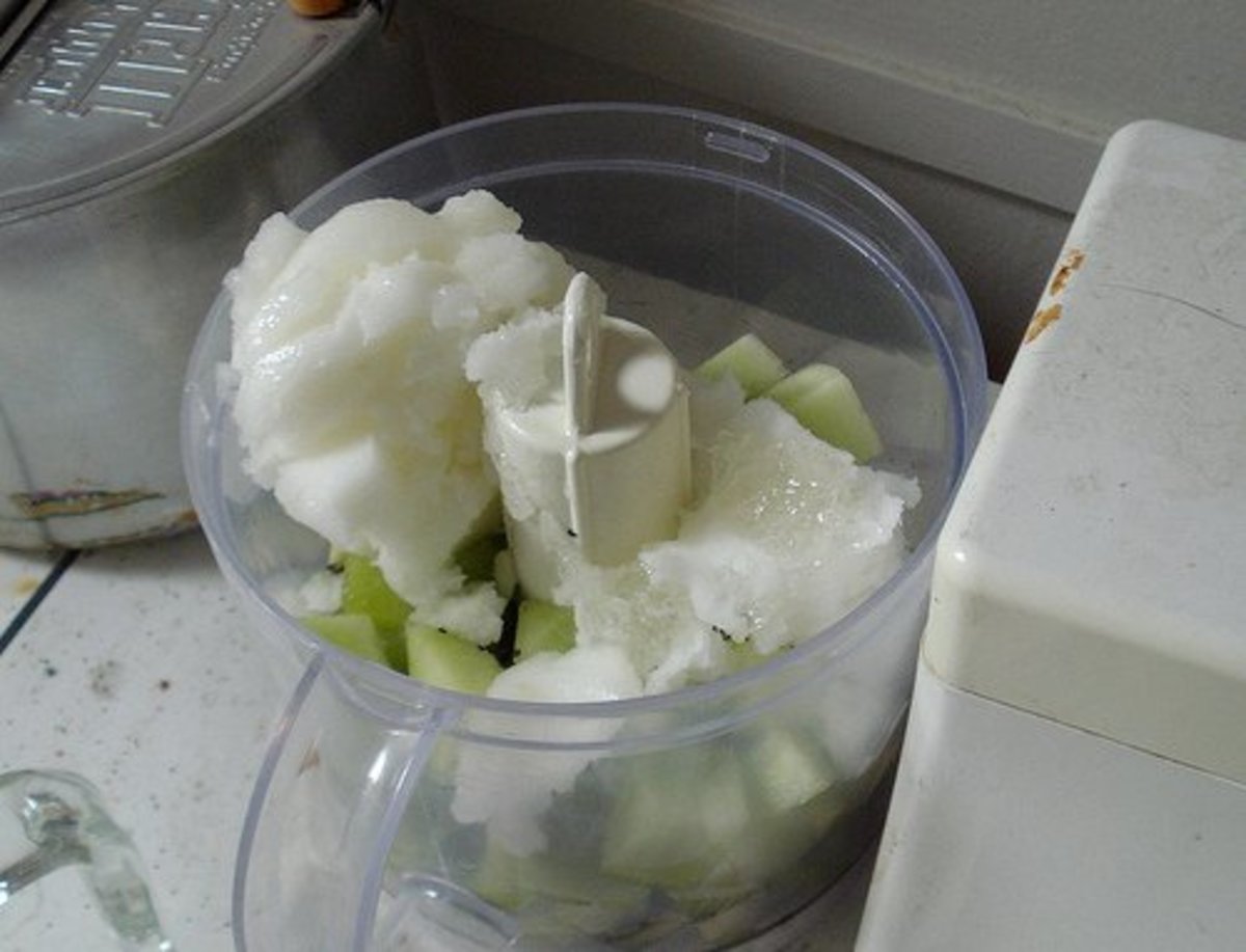 How to Use Food Processors for Everything HubPages