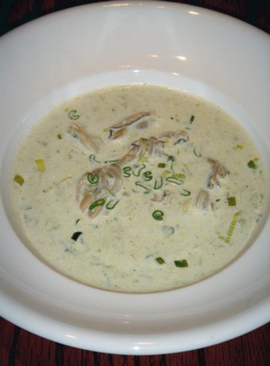 Worlds Best Oyster Soup
