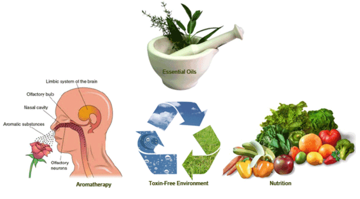 How Aromatherapy Works How to Choose Aromatherapy Essential Oils