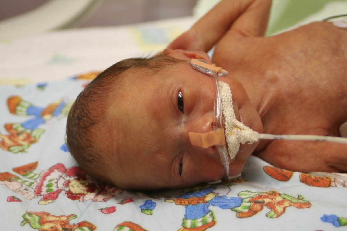 Normal Pregnancy and Childbirth with Fetal Development Photos WeHaveKids