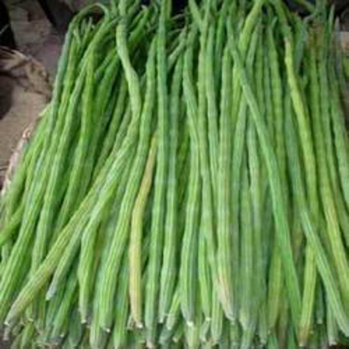 Drumstick Vegetable HubPages