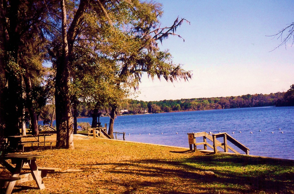 Visiting the Alfred B. Maclay State Gardens in Tallahassee, Florida