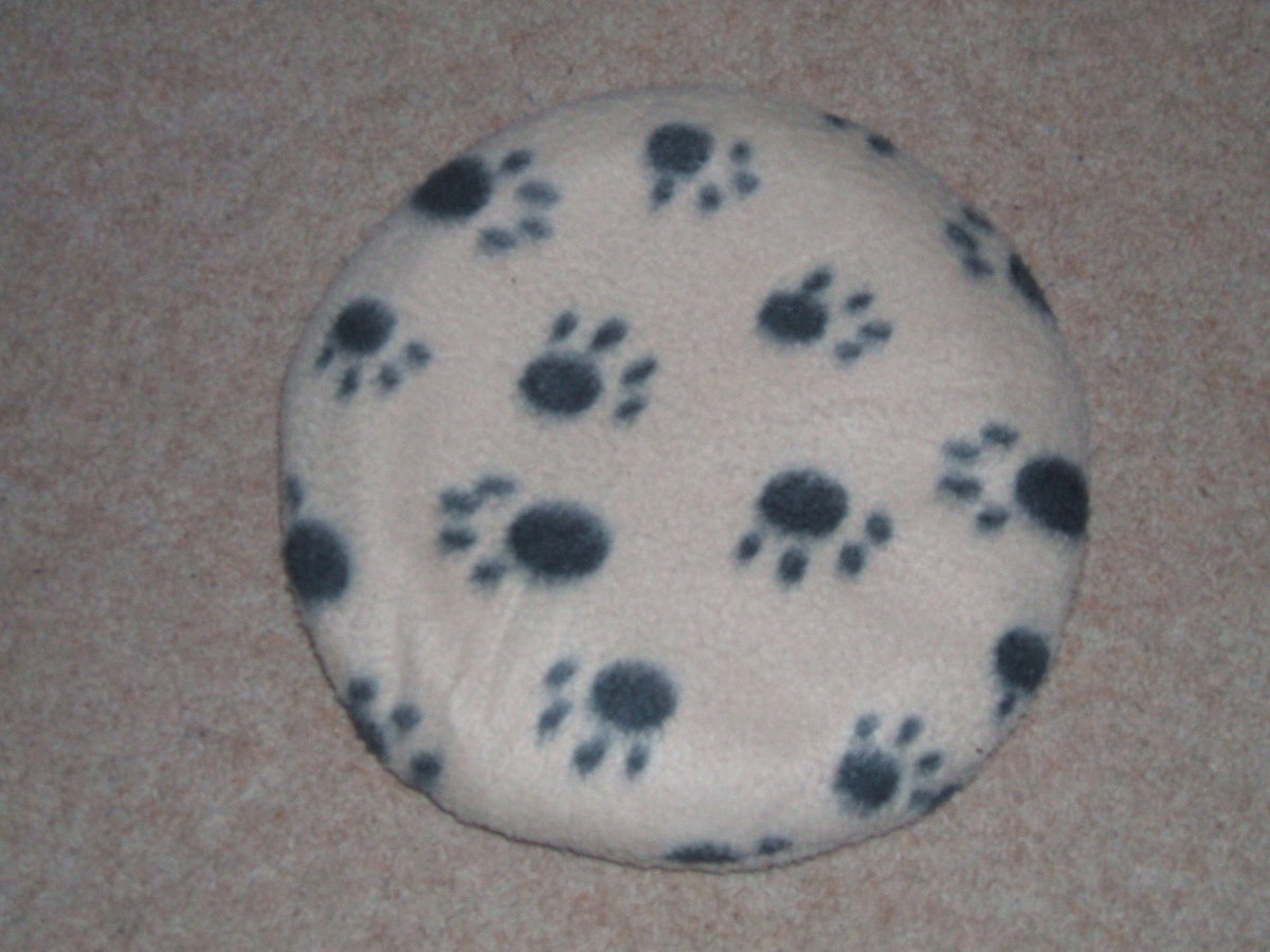 How to Look After a Giant African Land Snail