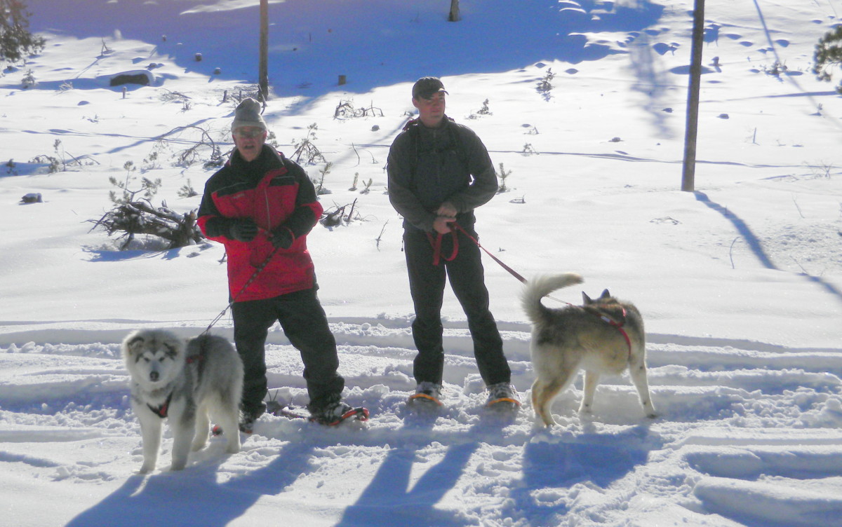 Dog Friendly Winter Sports Trails In Central Oregon For Snowshoeing And