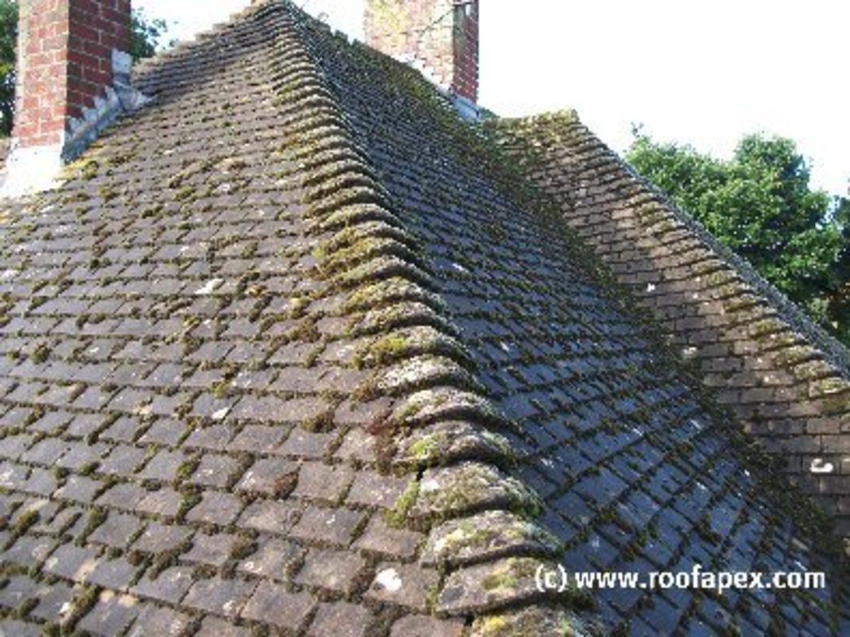 How to kill moss on roofs hubpages