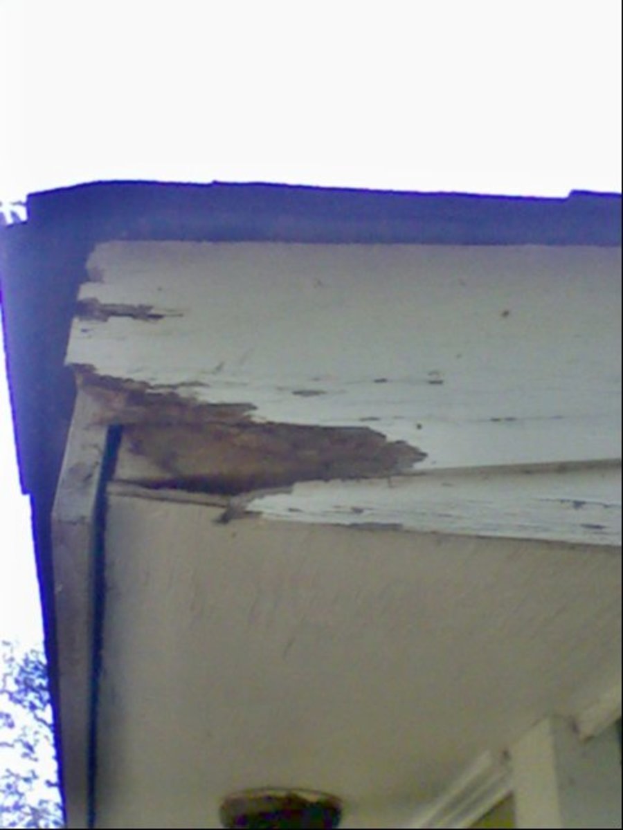Eaves and Fascia Board Repair How (Not) to Fix Them Dengarden