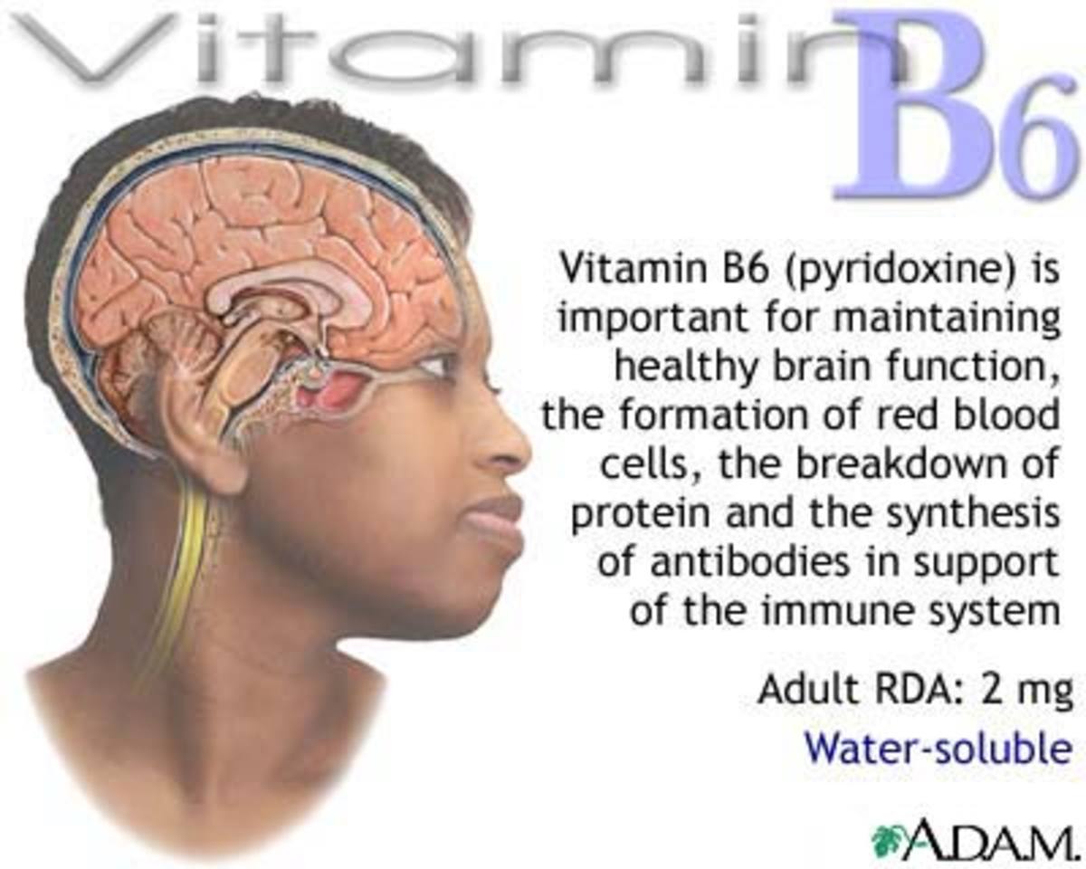 Health Benefits of Vitamin B6 HubPages