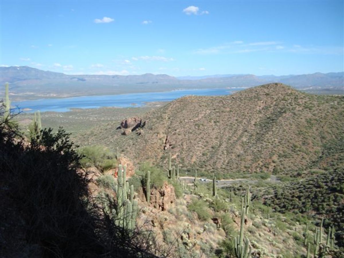 See the Cliff Dwellings in the Tonto Basin National Forest Ruins