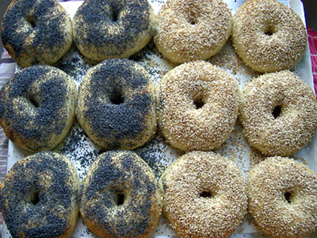Easy Hand Rolled Water Bagel Recipe Delishably