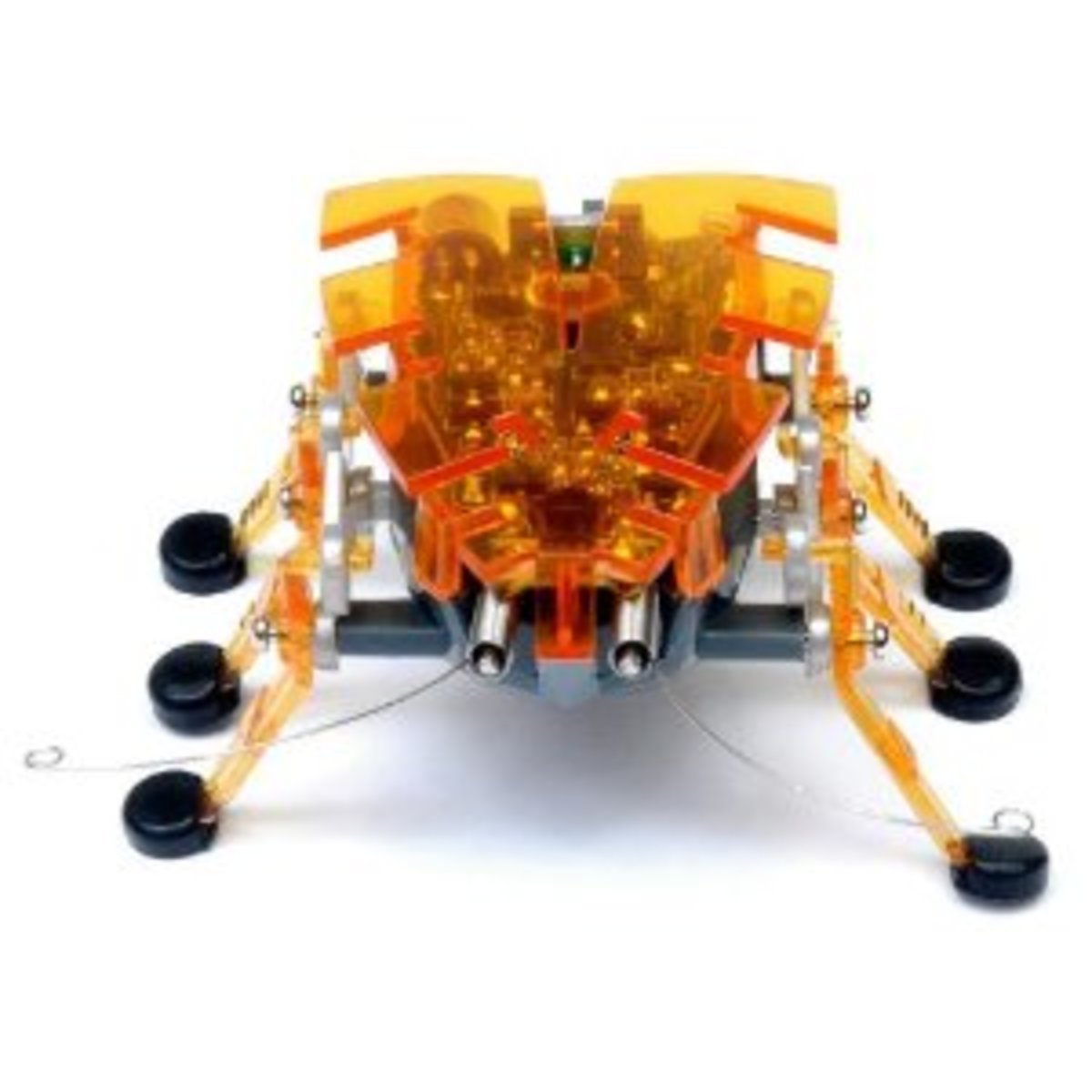 Hexbugs Review Types of Hex Bugs, The Original Spider, The Difference