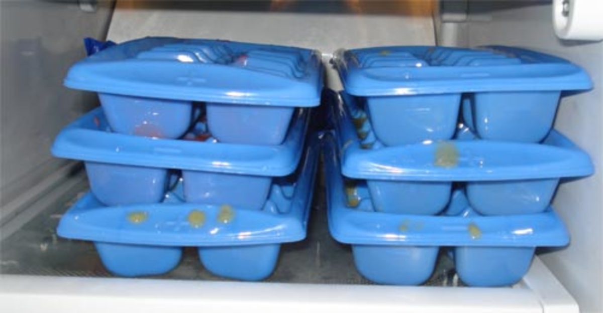 Homemade Crested Gecko Diet HubPages