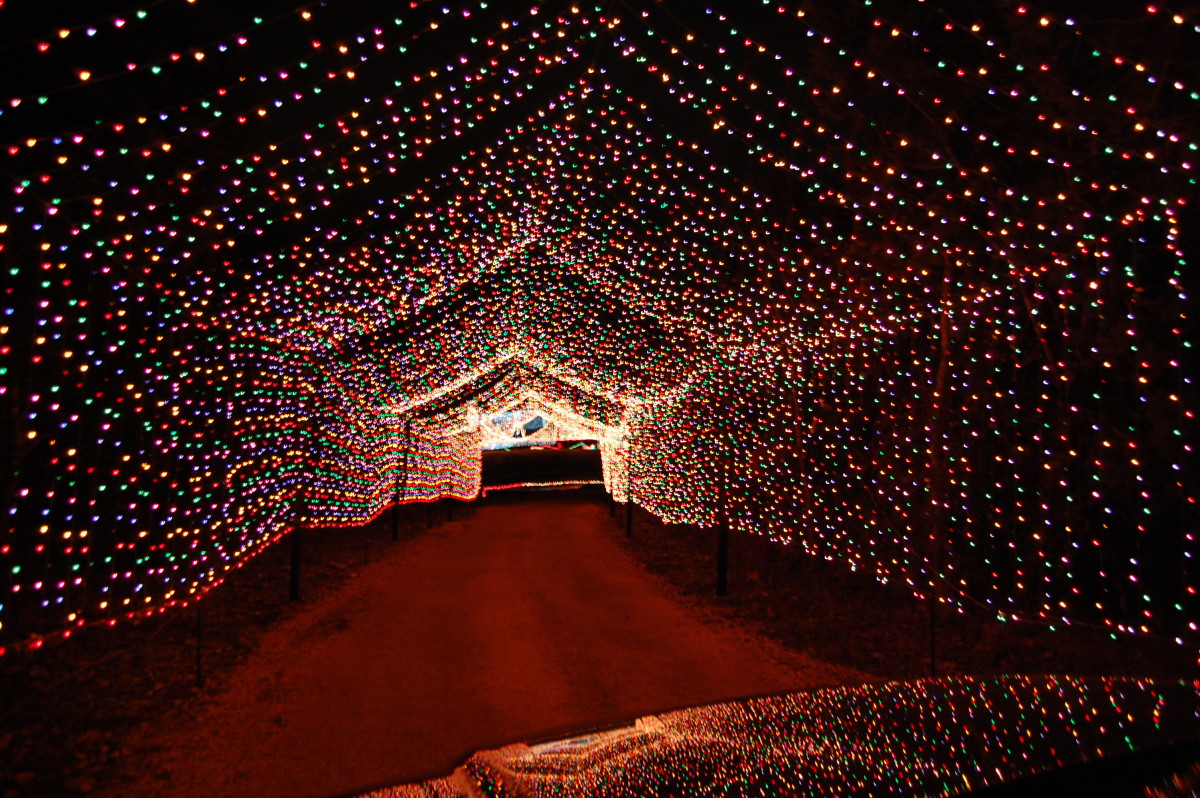 Christmas Lights Dance To Music Christmas Net Lights