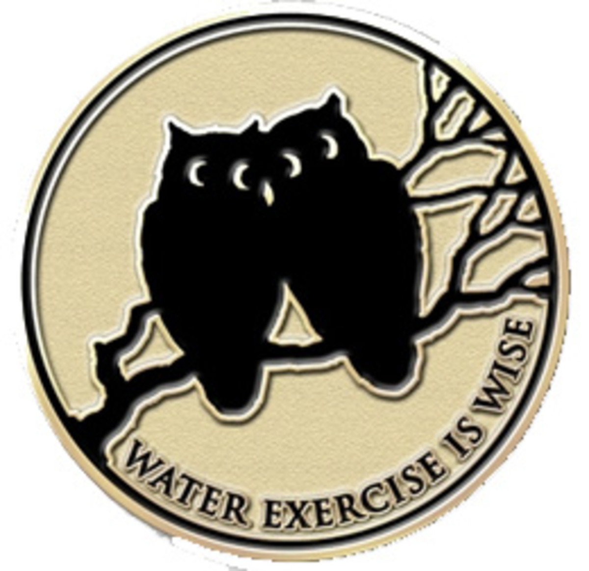 8 Best Gifts for Swimming Swimmers Aquatic Exercise Water Aerobics