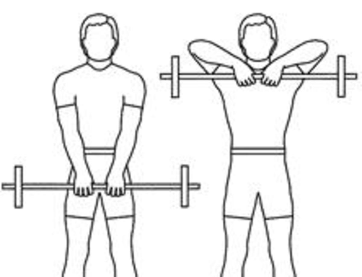 How to Build Strong Back Muscles HubPages