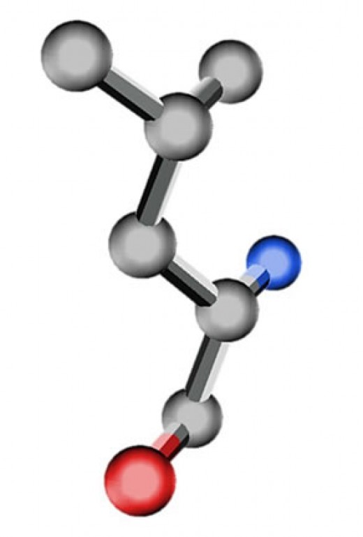 The Benefits of BCAAs Branched Chain Amino Acids HubPages