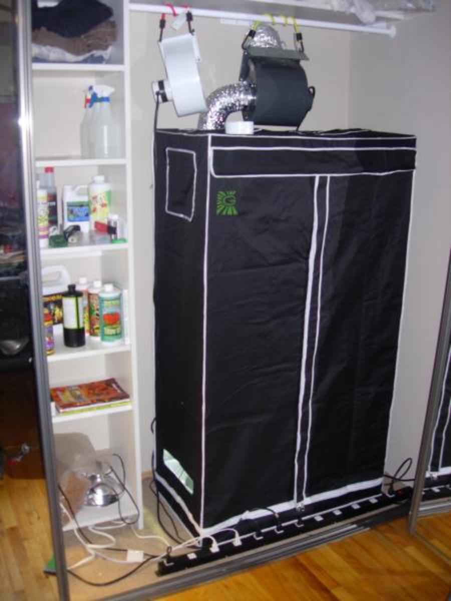 Why You Should Get an Indoor Grow Tent or Grow hubpages