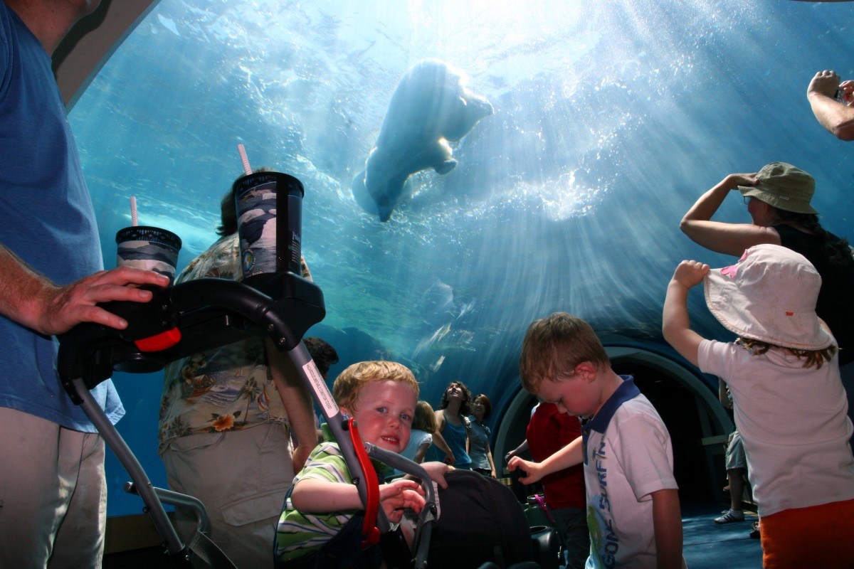 Best Pittsburgh Activities for Preschoolers HubPages