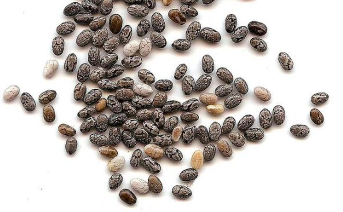 Chia Seeds Benefits and Side Effects CalorieBee