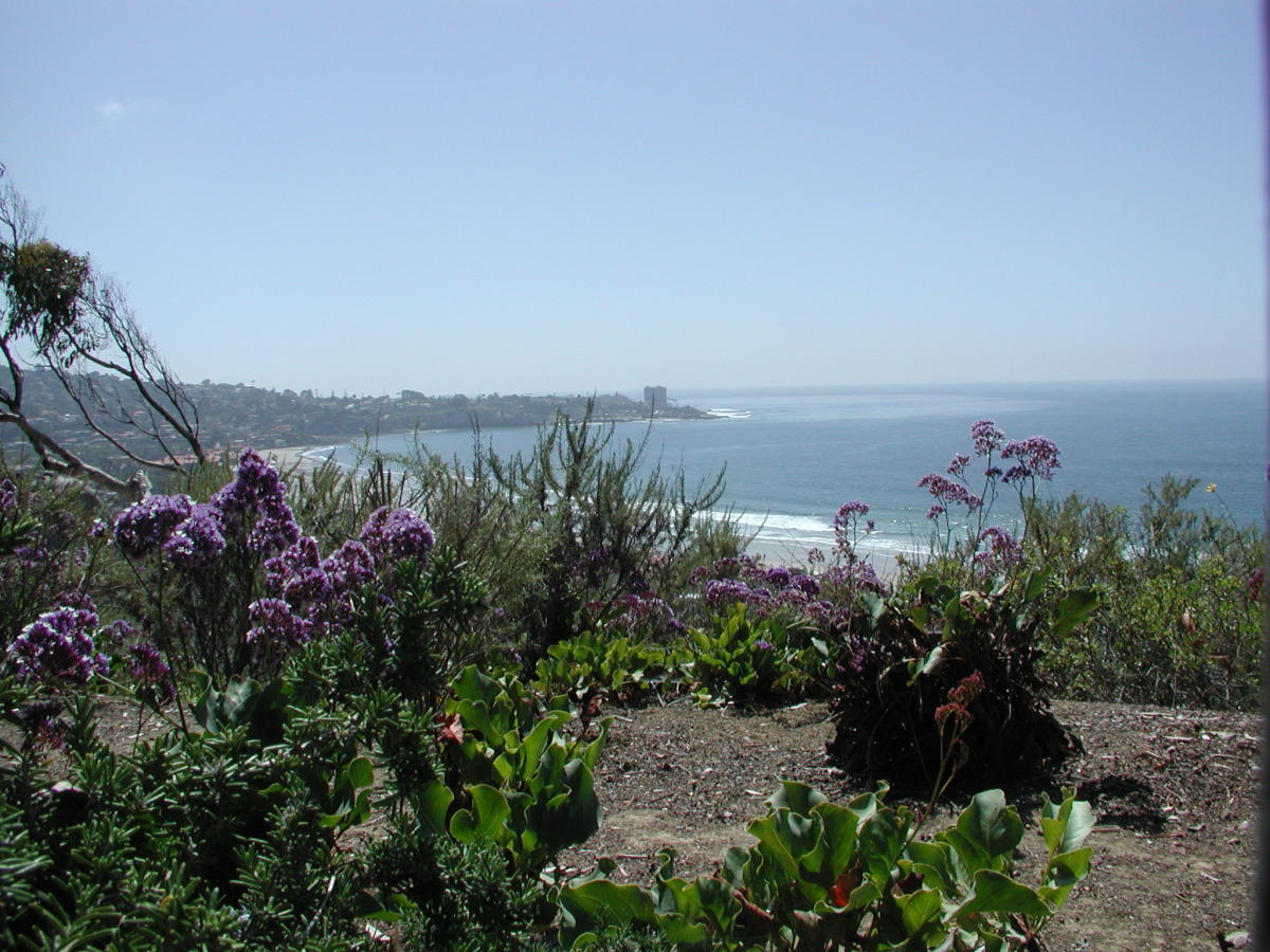 Budget Friendly Tips for Visiting San Diego HubPages