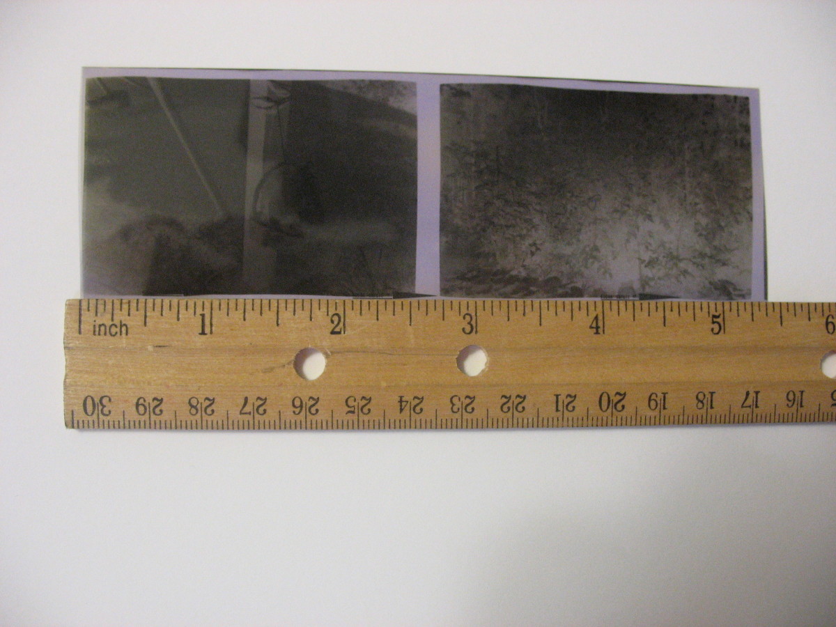 How to Scan Odd (NonStandard) Size Film Negatives on a Canoscan 8800f