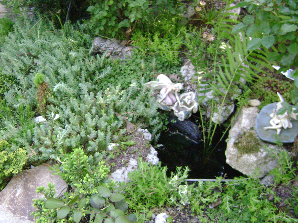 Miniature Gardens, Trough