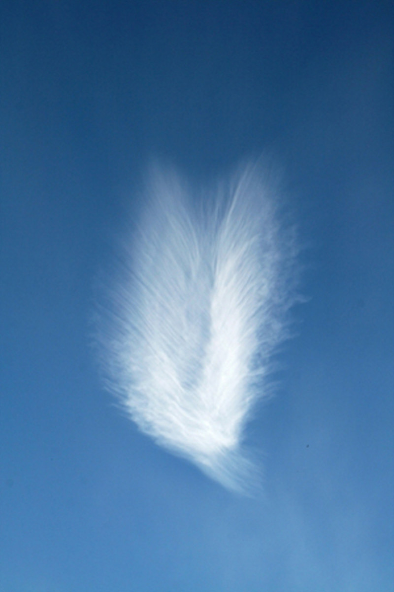 Signs You Have Connected With Your Spirit Guide Or Angel hubpages