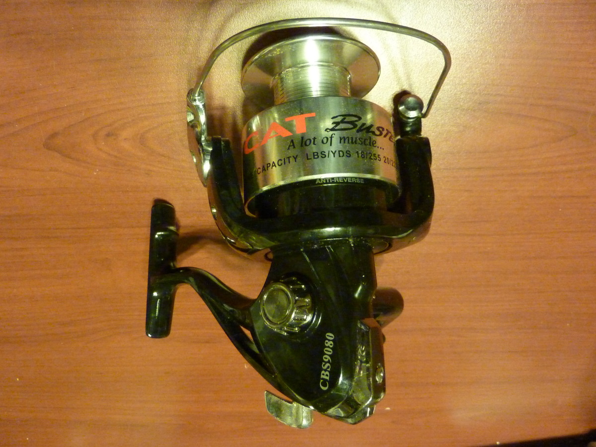 How to Catch Big Catfish Best Spinning Open Faced Reels