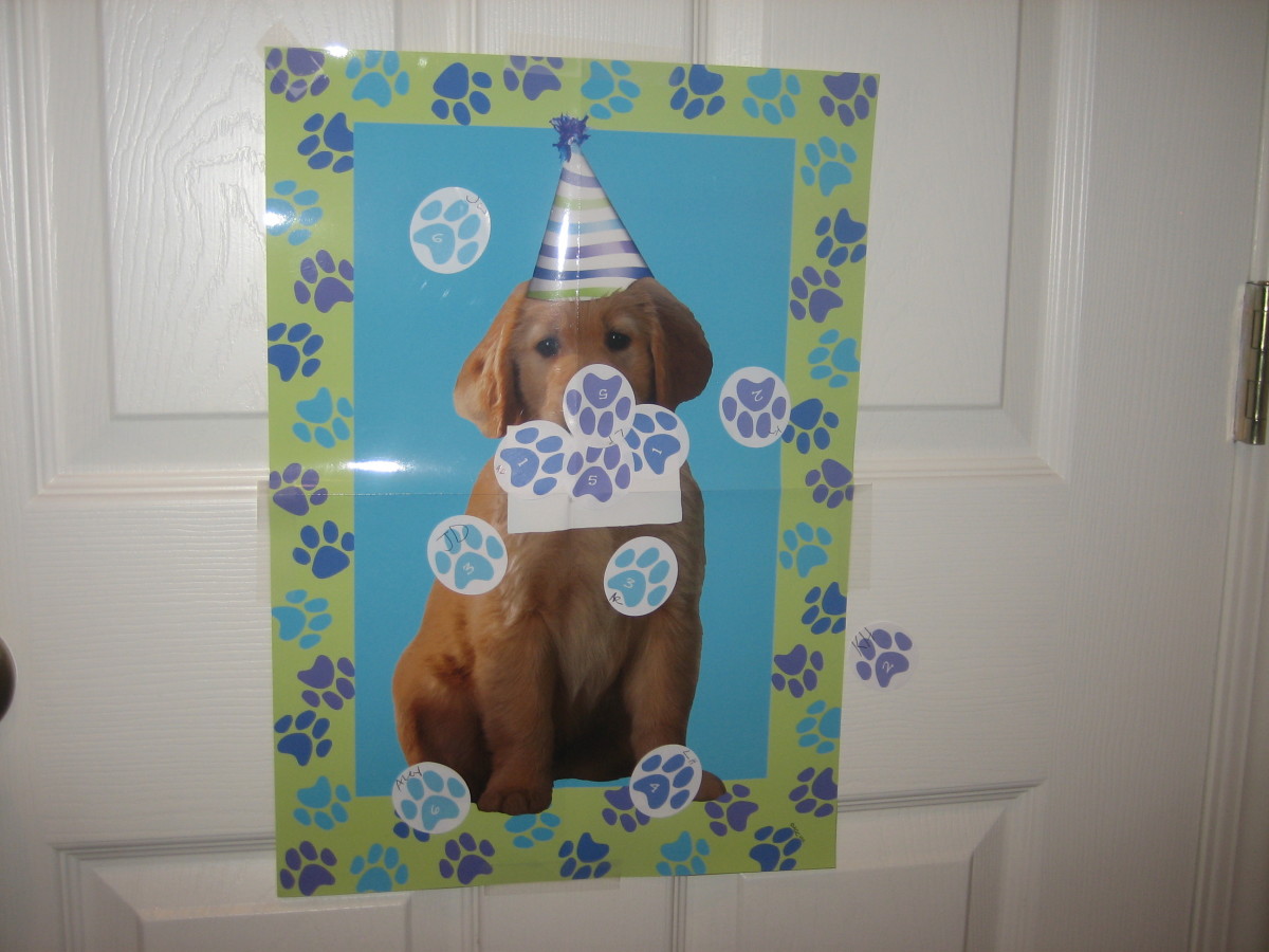 How to Throw a Puppy Dog Theme Birthday Party Holidappy