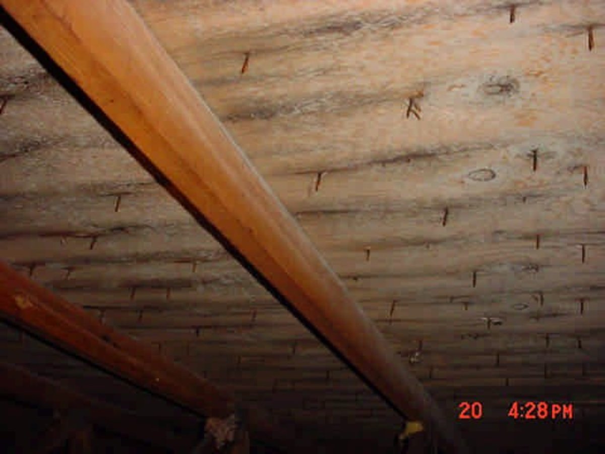 How to Prevent Attic Mold From Growing (If It's Not Too Late Already