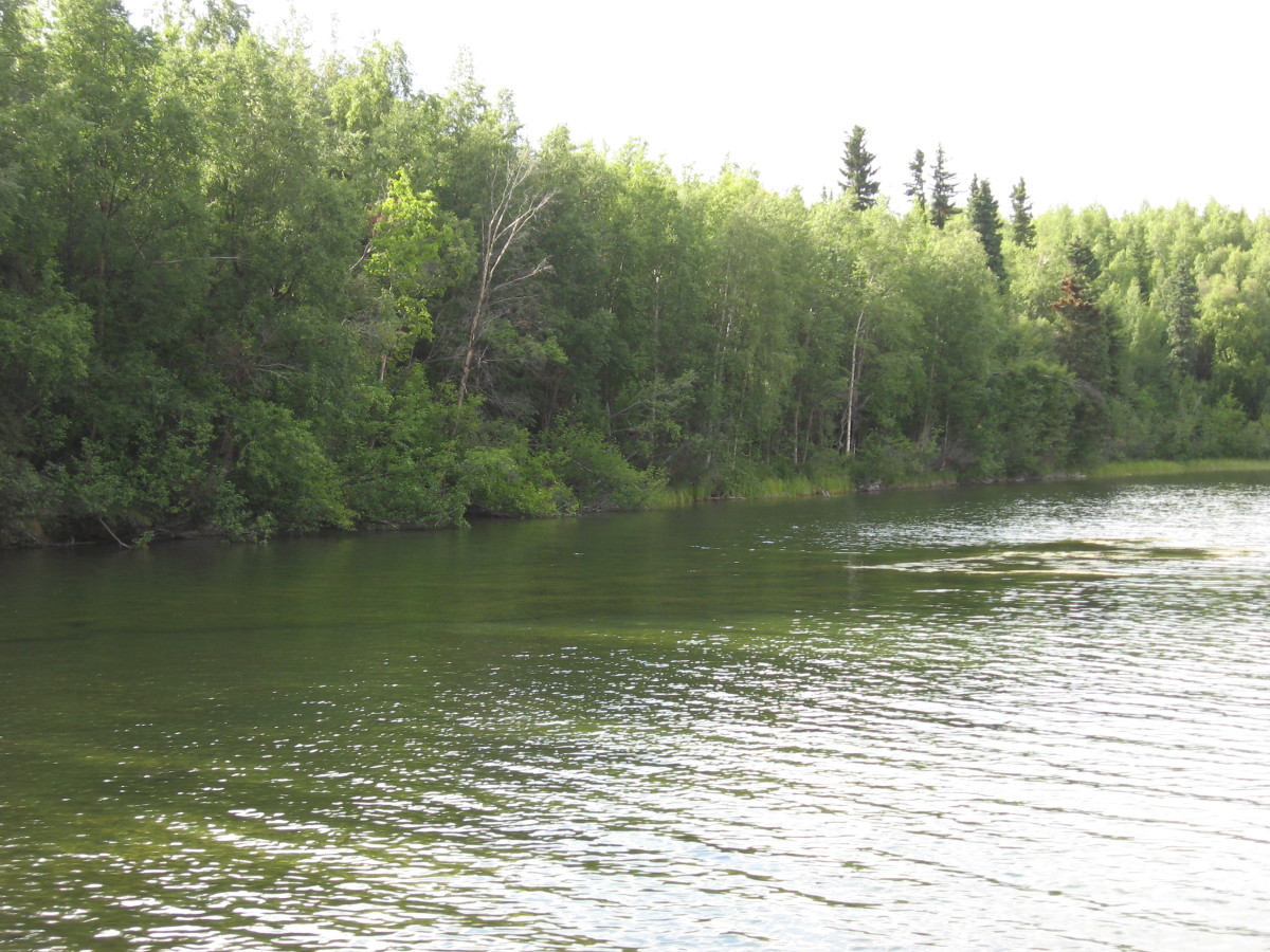 Alaska Living A Day in the Life of a Typical Alaskan WanderWisdom