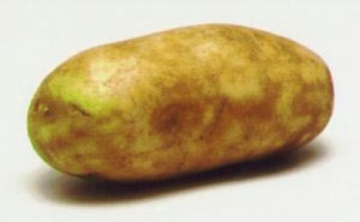 Photo Journal Teaches Children Foods That Are Unsafe Toxic Or Poison To