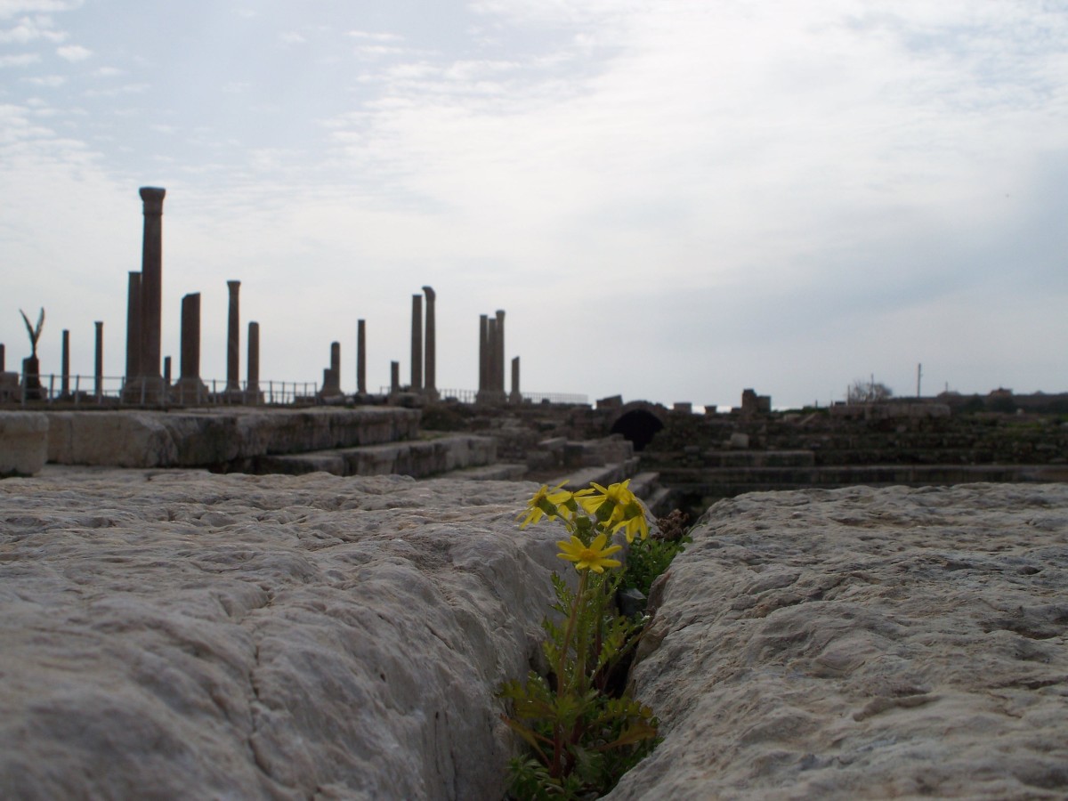 Alexander the Great and the Spanking of Tyre HubPages