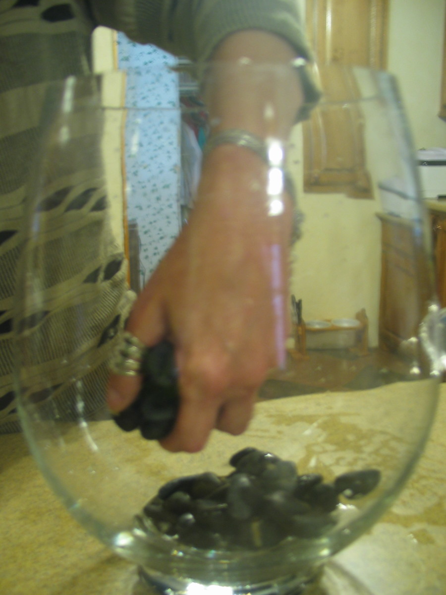 Bettas or Betta Fish and Bamboo Living Together PetHelpful