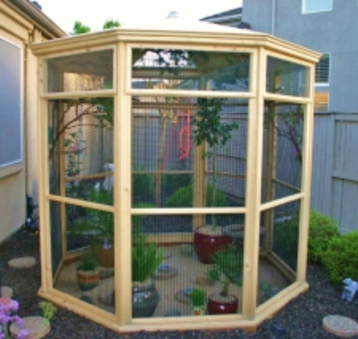 Aviary For Your Finches HubPages