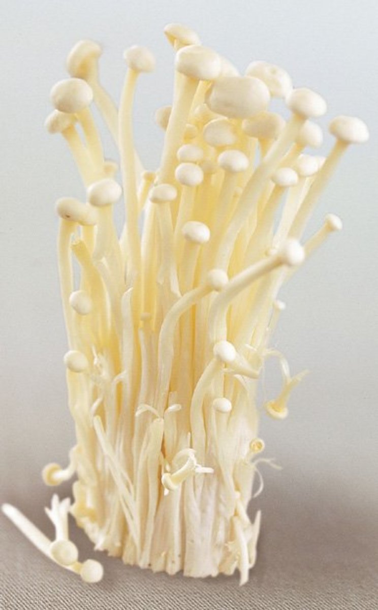 What Are The Different Types Of Edible Mushrooms and How Do You Use