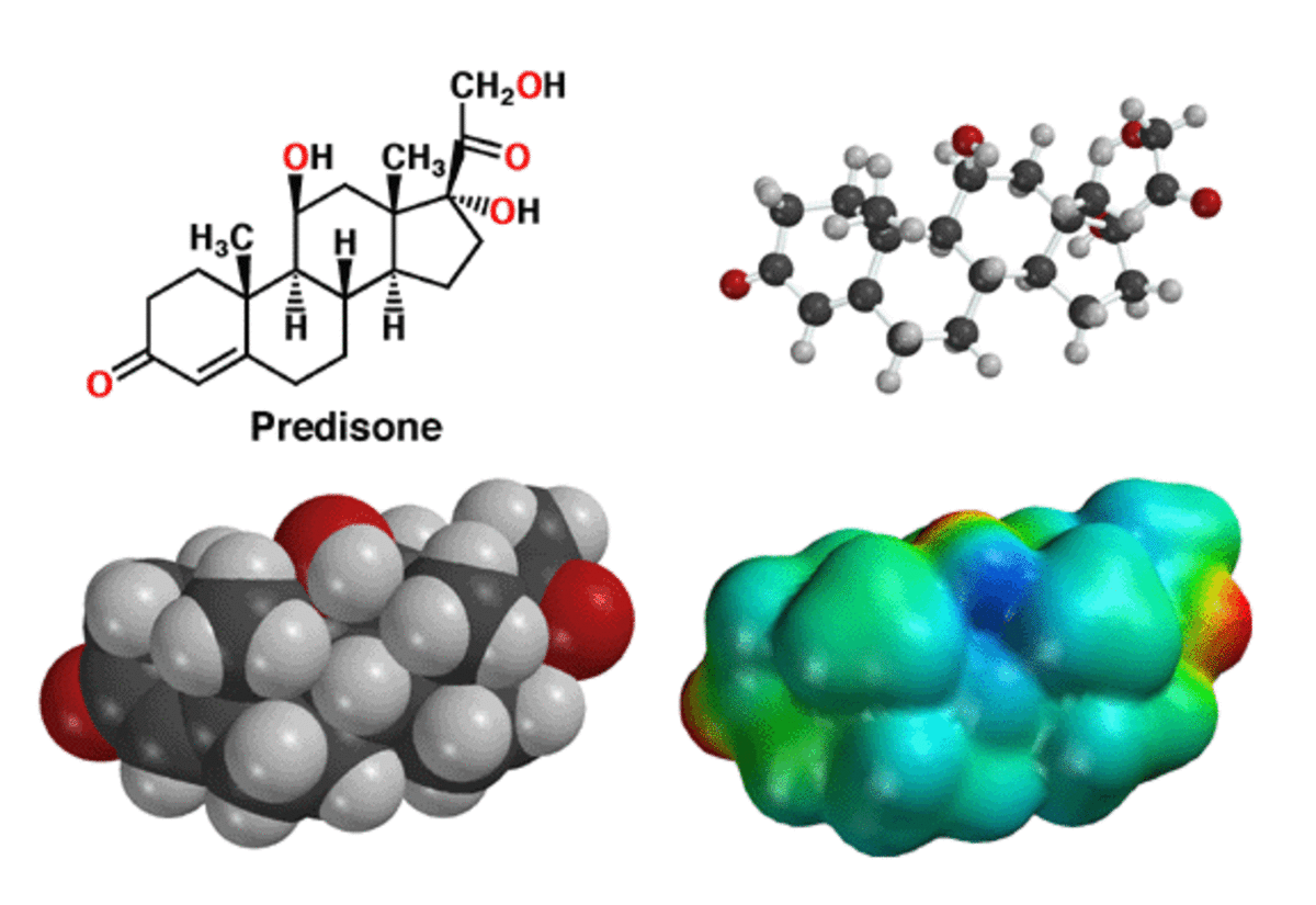 Prednisone Side Effects Can Cause High Cholesterol and Blood Pressure HubPages